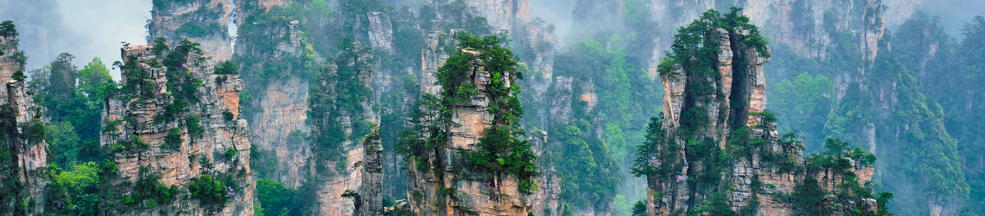 ZhangJiaJie Tour