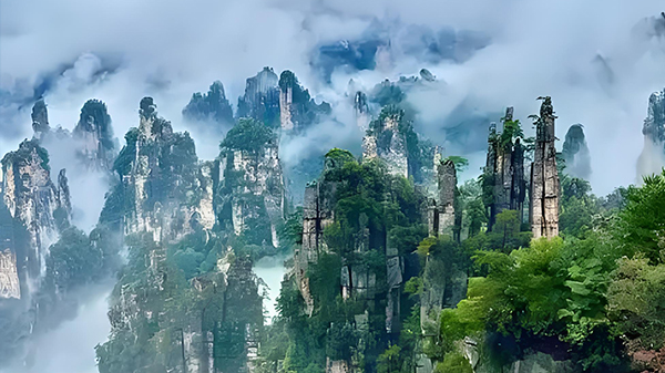 DAM11 Series Moulded-Case Circuit Breaker